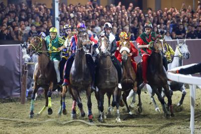 PALIO PIAZZA ARIOSTEA 2024 FERRARA