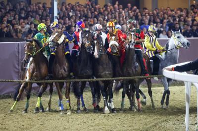 PALIO PIAZZA ARIOSTEA 2024 FERRARA