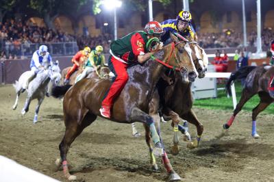 PALIO PIAZZA ARIOSTEA 2024 FERRARA