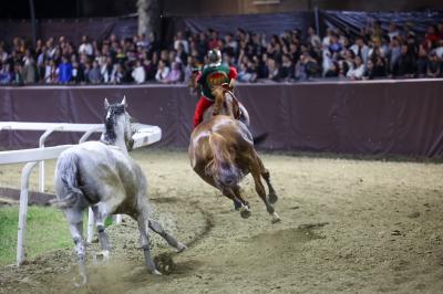 PALIO PIAZZA ARIOSTEA 2024 FERRARA