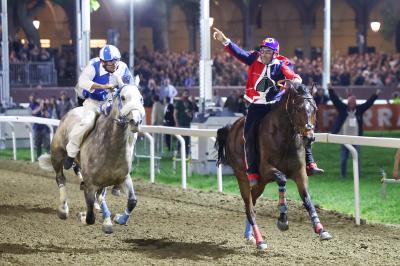 PALIO PIAZZA ARIOSTEA 2024 FERRARA