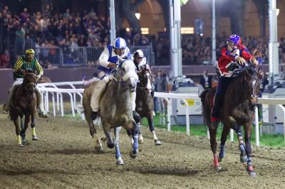 PALIO PIAZZA ARIOSTEA 2024 FERRARA