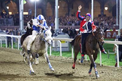 PALIO PIAZZA ARIOSTEA 2024 FERRARA