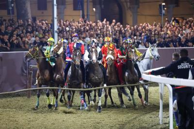 PALIO PIAZZA ARIOSTEA 2024 FERRARA