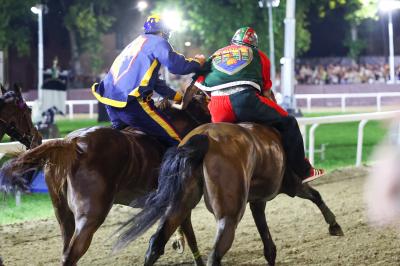 PALIO PIAZZA ARIOSTEA 2024 FERRARA