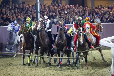 PALIO PIAZZA ARIOSTEA 2024 FERRARA