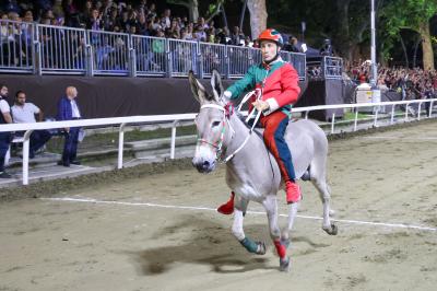 PALIO PIAZZA ARIOSTEA 2024 FERRARA