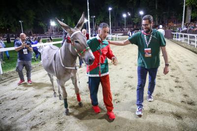 PALIO PIAZZA ARIOSTEA 2024 FERRARA