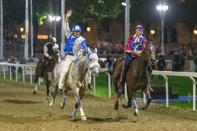 PALIO PIAZZA ARIOSTEA 2024 FERRARA