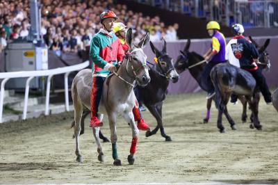 PALIO PIAZZA ARIOSTEA 2024 FERRARA