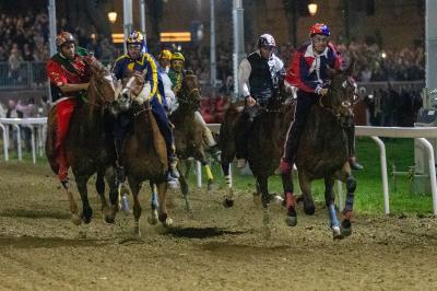 PALIO PIAZZA ARIOSTEA 2024 FERRARA