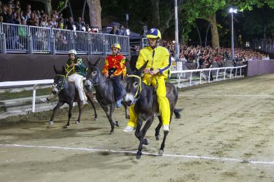 PALIO PIAZZA ARIOSTEA 2024 FERRARA