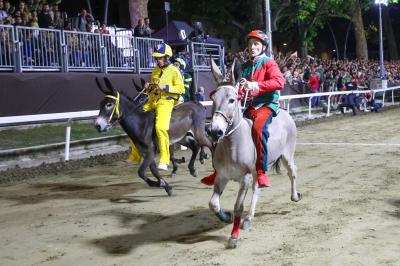 PALIO PIAZZA ARIOSTEA 2024 FERRARA