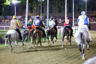 PALIO PIAZZA ARIOSTEA 2024 FERRARA