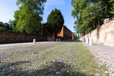 ERBA DEGRADO CORSO ERCOLE I ESTE FERRARA