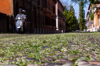 ERBA DEGRADO CORSO ERCOLE I ESTE FERRARA