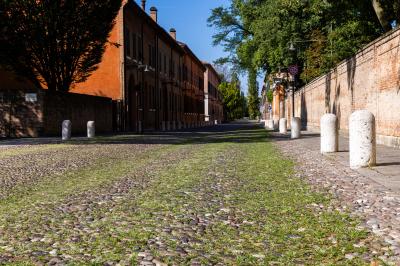 ERBA DEGRADO CORSO ERCOLE I ESTE FERRARA