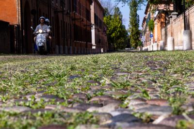 ERBA DEGRADO CORSO ERCOLE I ESTE FERRARA