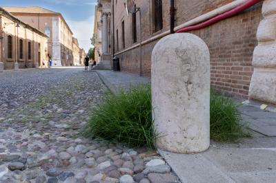 ERBA DEGRADO CORSO ERCOLE I ESTE FERRARA