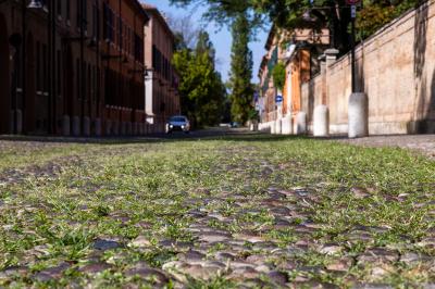 ERBA DEGRADO CORSO ERCOLE I ESTE FERRARA