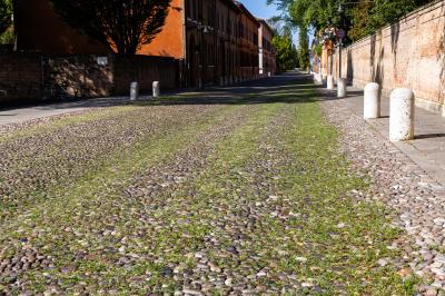 ERBA DEGRADO CORSO ERCOLE I ESTE FERRARA