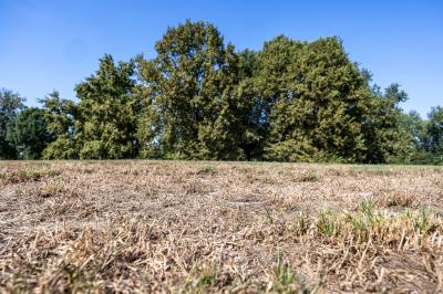 PARCO URBANO FERRARA