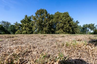 PARCO URBANO FERRARA