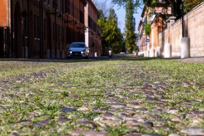 ERBA DEGRADO CORSO ERCOLE I ESTE FERRARA