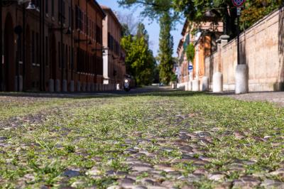 ERBA DEGRADO CORSO ERCOLE I ESTE FERRARA