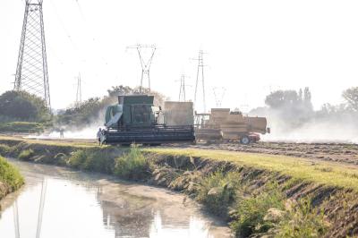 INCENDIO GRANO VIA GRAMICIA FERRARA