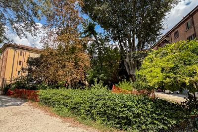 GIARDINO CONDOMINIO CORSO ISONZO FERRARA