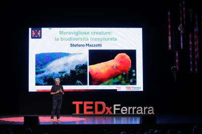 TED X FERRARA