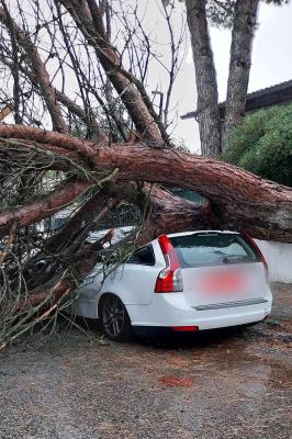 MALTEMPO LIDI FERRARESI