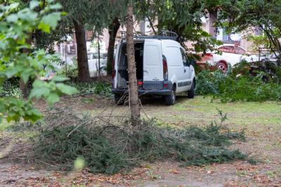 ALBERI CONDOMINIO VIA FIUME FERRARA