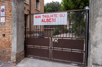 ALBERI CONDOMINIO VIA FIUME FERRARA