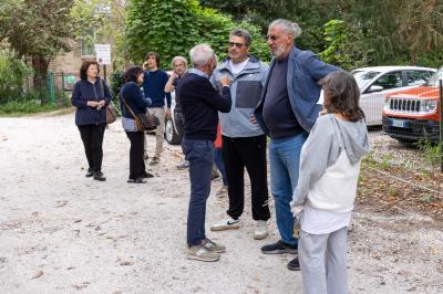 ALBERI CONDOMINIO VIA FIUME FERRARA