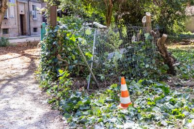 TAGLIO ALBERI CONDOMINIO VIA FIUME