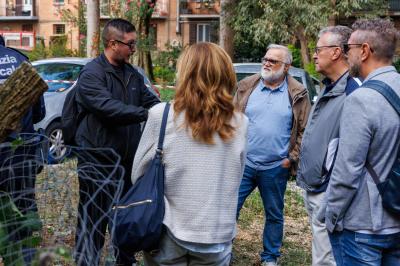 TAGLIO ALBERI CONDOMINIO VIA FIUME