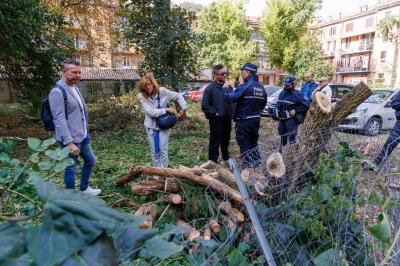 TAGLIO ALBERI CONDOMINIO VIA FIUME