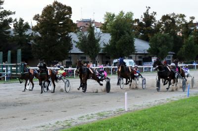 IPPICA PREMIAZIONE GIUSTO BORTOLOTTI