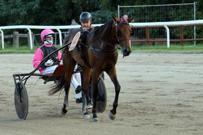 IPPICA PREMIAZIONE GIUSTO BORTOLOTTI