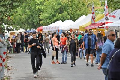 MERCATO MONTAGNONE FERRARA