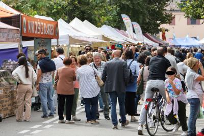 MERCATO MONTAGNONE FERRARA