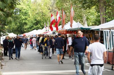 MERCATO MONTAGNONE FERRARA