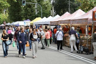 MERCATO MONTAGNONE FERRARA