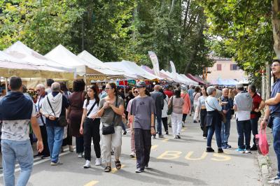 MERCATO MONTAGNONE FERRARA