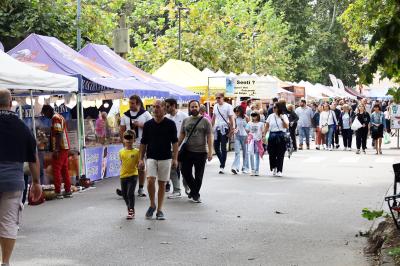 MERCATO MONTAGNONE FERRARA