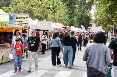 MERCATO MONTAGNONE FERRARA