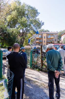 TAGLIO ALBERI CONDOMINIO VIA FIUME