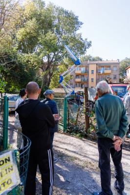 TAGLIO ALBERI CONDOMINIO VIA FIUME